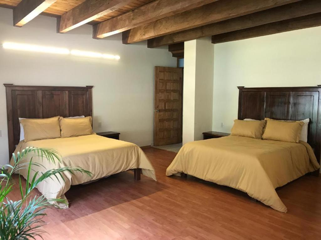 Cortijo La Casona & Bungalow Al Pie De La Montana San Cristóbal de Las Casas Exteriér fotografie